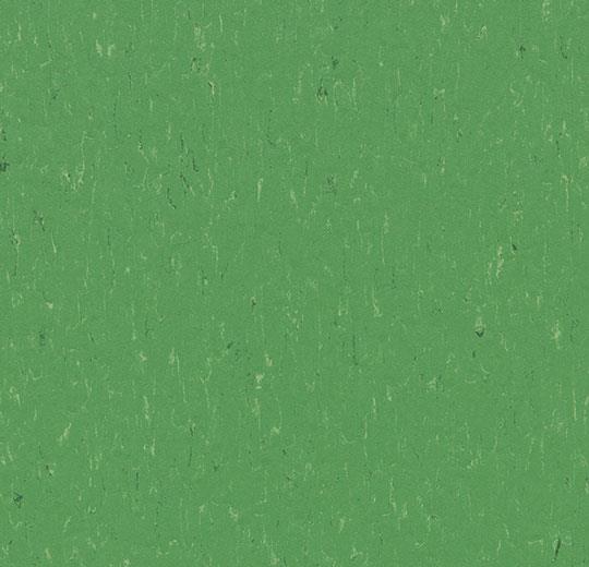  Marmoleum Solid Piano 3647/364735 nettle green (Forbo)
