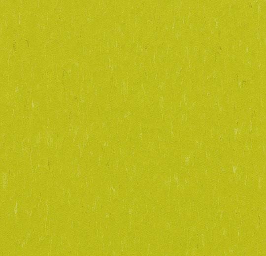  Marmoleum Solid Piano 3646/364635 young grass (Forbo)